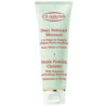 Gentle Foaming Cleanser (Combination to Oily Skin) - Gentle Cleansing Foam