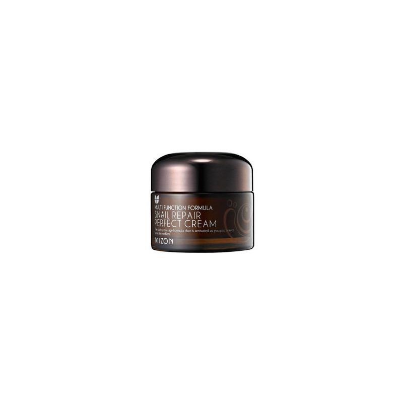 Face cream with snail secretion filtrate 60% for problematic skin (Snail Repair Perfect Cream) 50 ml