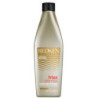 Frizz Dismiss Sulfate-Free Shampoo for Humidity Protection & Smoothing