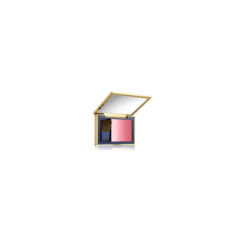 Pure Color Envy Powder Blush 7 g 110 Brazen Bronze